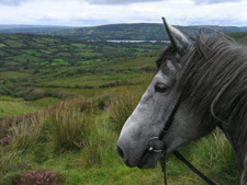 Ireland-Connemara/Galway-Slieve Aughty Mountains Ride